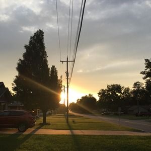 Meet your Posher, Brodie